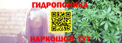 ГАЛЛЮЦИНОГЕННЫЕ ГРИБЫ Новодвинск